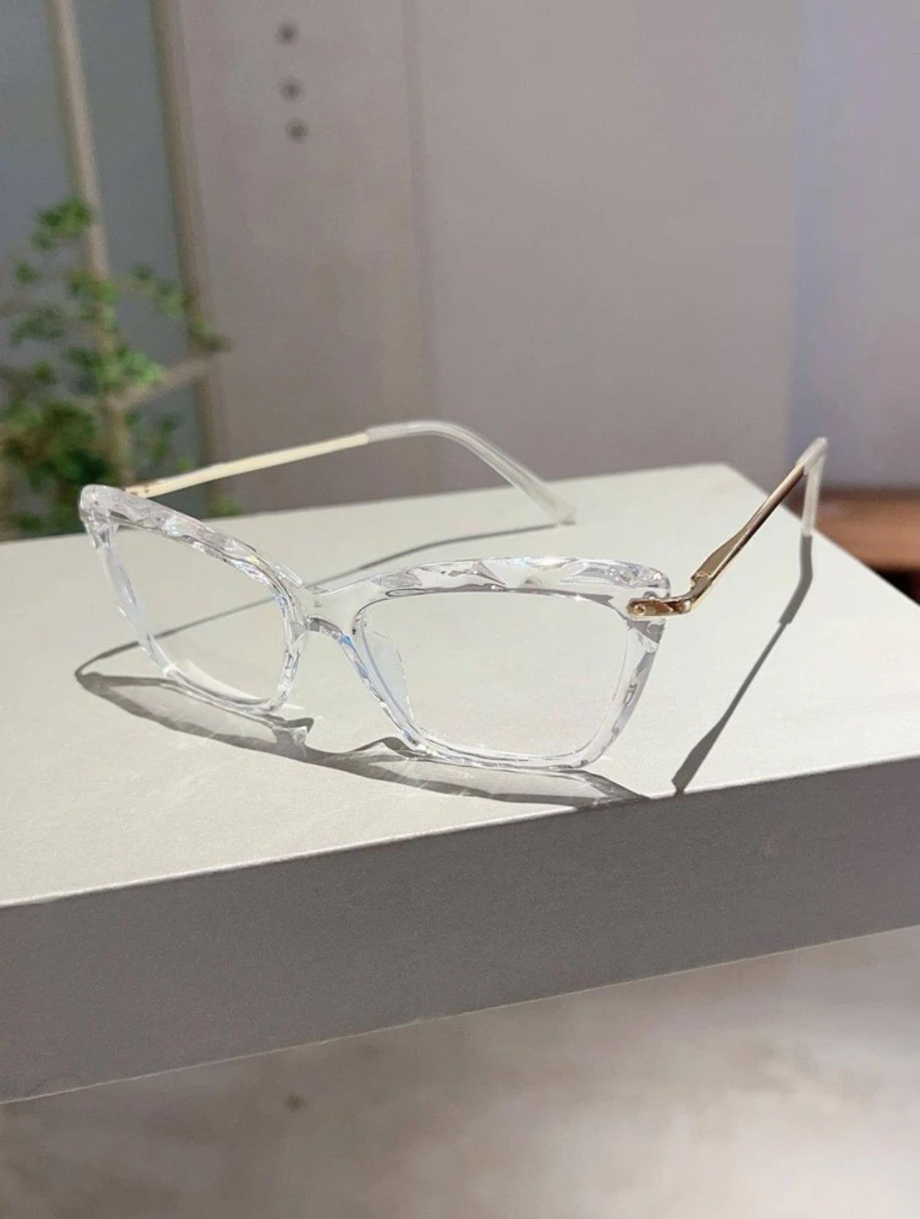 Clear Cat-eye Glasses
